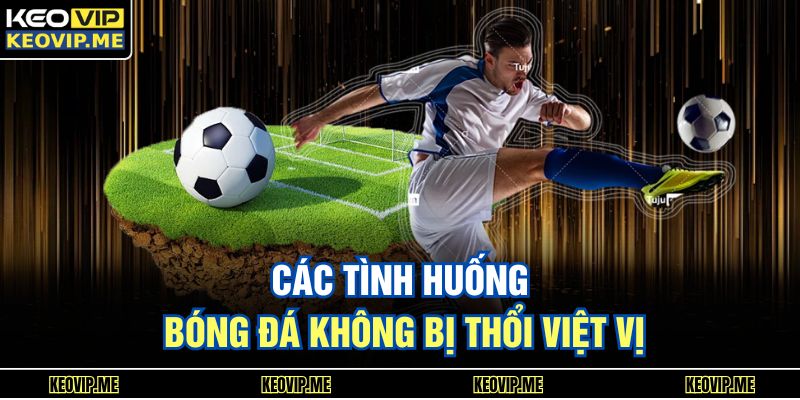 Việt Vị Là Gì? Hiểu Nhanh Luật Việt Vị Cho Người Mới 2 Các tình huống bóng đá không bị thổi việt vị