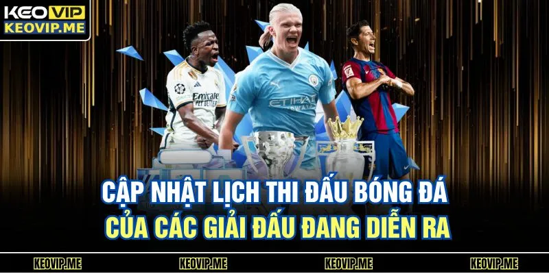 Cập nhật lịch thi đấu bóng đá của các giải đấu đang diễn ra