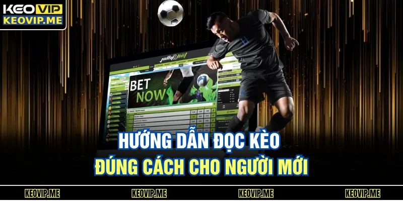 Hướng dẫn đọc kèo đúng cách cho người mới