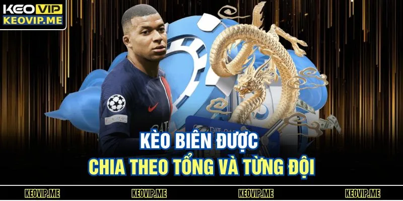 Kèo biên được chia theo tổng và từng đội