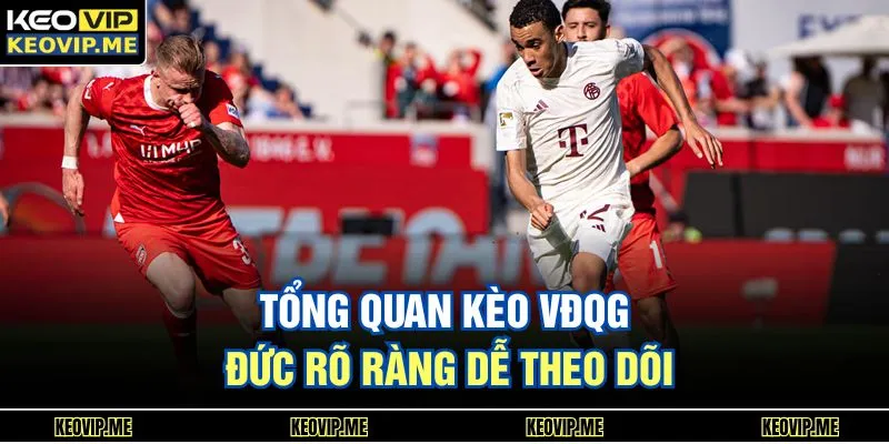 Tổng quan kèo VĐQG Đức rõ ràng dễ theo dõi