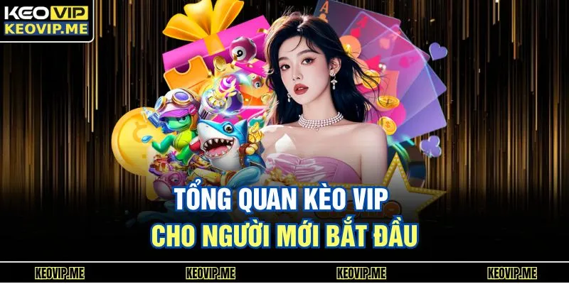 Trang chủ 17 Tổng quan Kèo Vip cho người mới bắt đầu