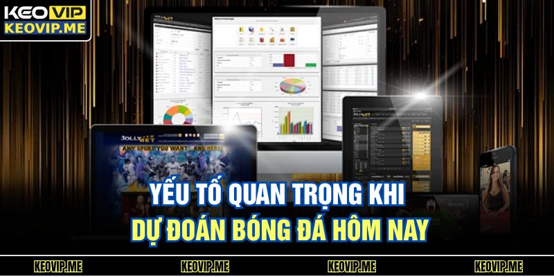 Dự Đoán Bóng Đá Hôm Nay - Chuẩn Phân Tích Dễ Hiểu 2 Yếu tố quan trọng khi dự đoán bóng đá hôm nay